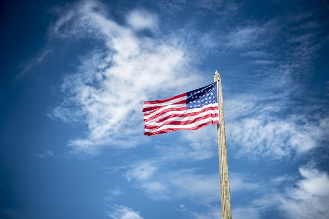 Flag Day – Honoring Our Nation with Paws and Pride | June 14 - flag flying in blue sky